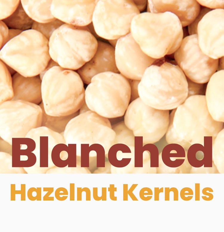Blanched Hazelnut Kernels