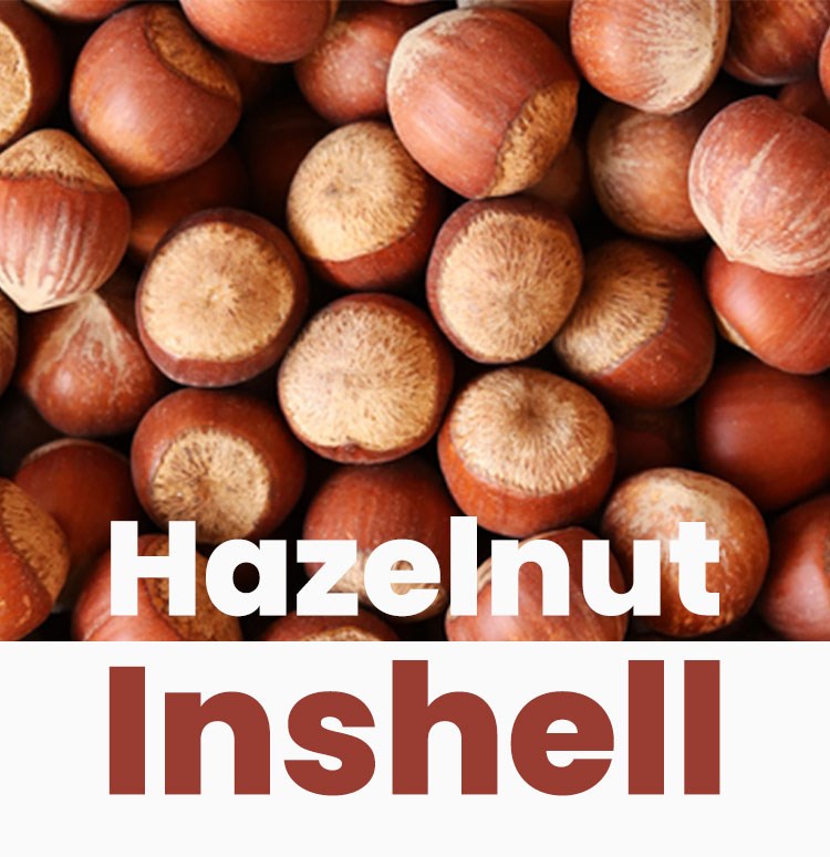 Hazelnut Inshell