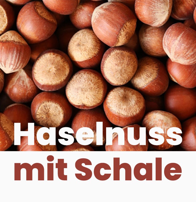 Haselnuss mit Schale