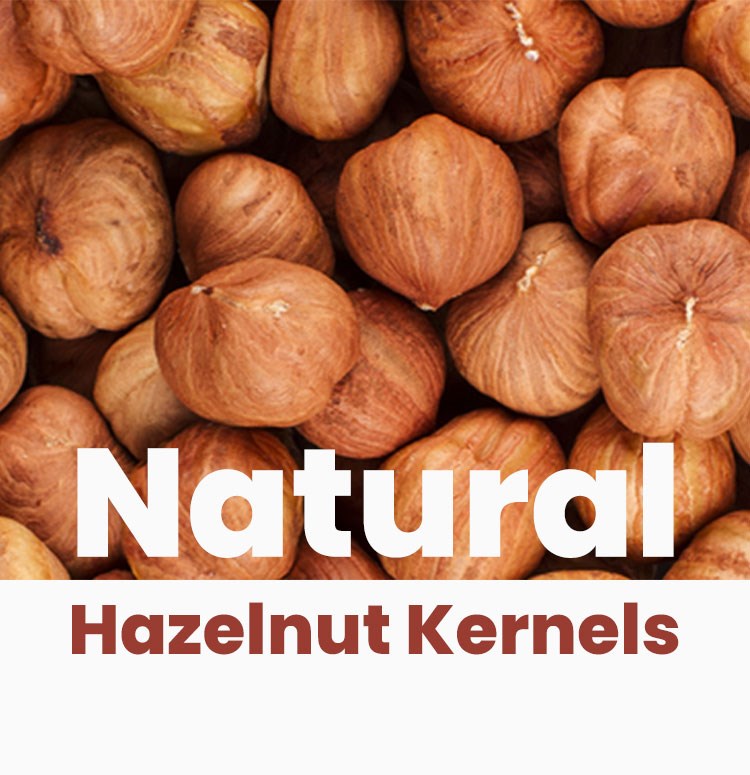 Natural Hazelnut Kernels