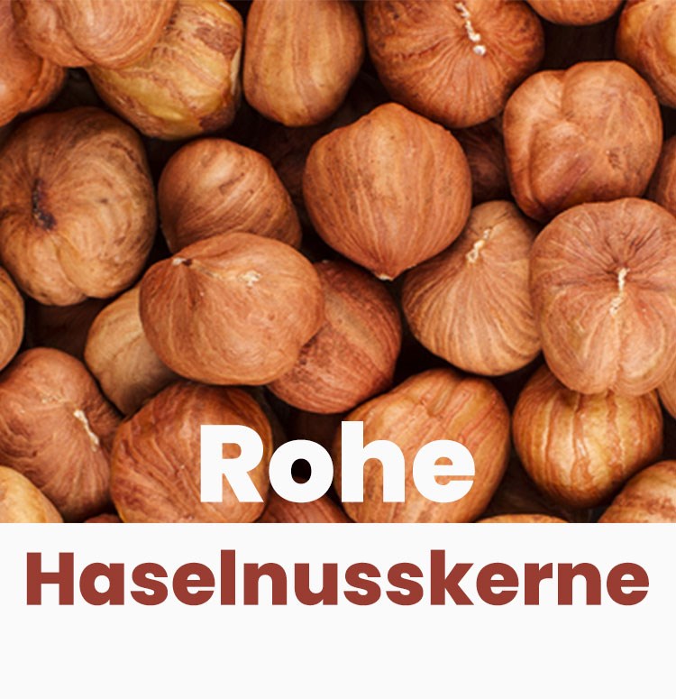 Rohe Haselnusskerne